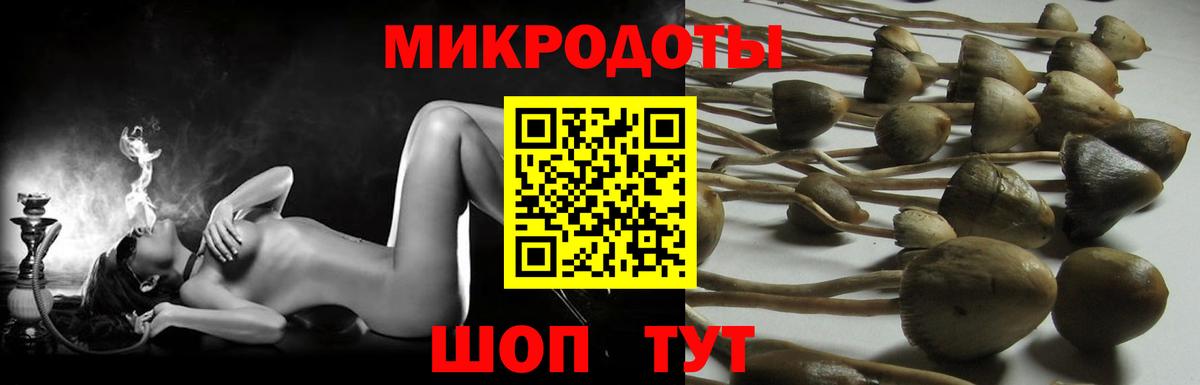 Псилоцибиновые грибы MAGIC MUSHROOMS  Галлюциногенные грибы ЛСД  Людиново  Вход с VPN 